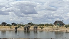 Elephant Sands