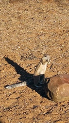 Gaborone Game Reserve