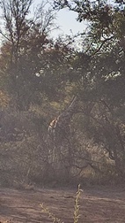 Mokolodi Nature Reserve