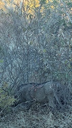 Mokolodi Nature Reserve