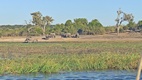 Boat trip en Chobe NP