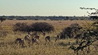 Khama Rhino Sanctuary