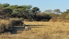 Khama Rhino Sanctuary