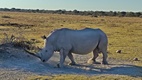 Khama Rhino Sanctuary