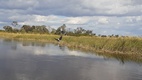 Delta del Okavango