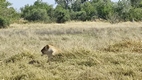 Moremi Game Reserve