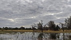 Delta del Okavango
