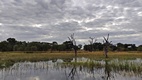 Delta del Okavango