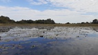 Delta del Okavango