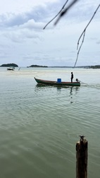 Vista desde Firefly Guesthouse and Restaurant