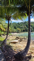 Paseo a Freedom Waterfall