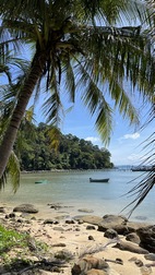 Paseo a Freedom Waterfall