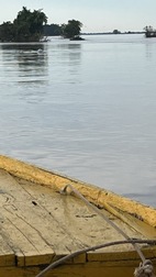 Avistamiento de delfines en el rio Mekong