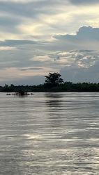 Avistamiento de delfines en el rio Mekong