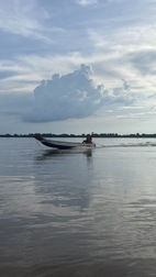 Avistamiento de delfines en el rio Mekong