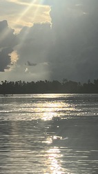 Avistamiento de delfines en el rio Mekong