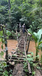 Paseo vespertino, Elephant Valley Project