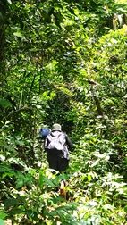 Excursi�n para la observaci�n de gibbones en libertad