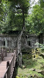 Templo de Beng Mealea