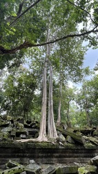 Templo de Beng Mealea