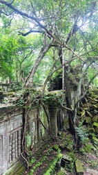 Templo de Beng Mealea