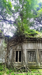 Templo de Beng Mealea