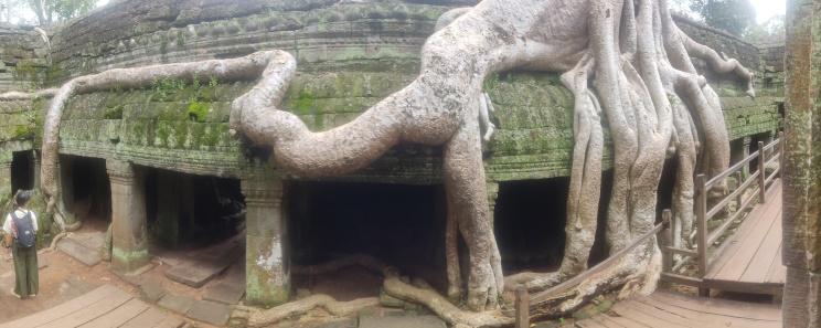 Templo Ta Prohm