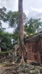 Templo Preah Khan