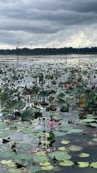 Templo Preah Neak Pean