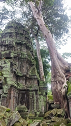 Templo Ta Prohm