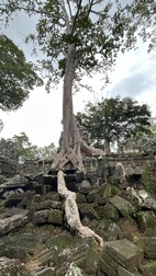 Templo Ta Prohm
