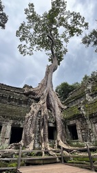 Templos de Angkor, Siem Reap