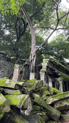 Templo Ta Prohm