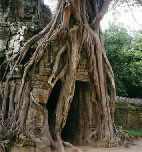 Ta Prohm
