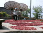 Longji