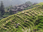 Jinjiang