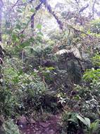Parque Nacional Volcán Tenorio