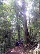 Parque Nacional Volcán Tenorio