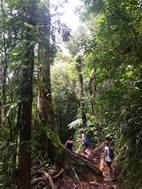 Parque Nacional Volcán Tenorio