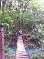 Puente sobre el ro Celeste, Parque Nacional Volcán Tenorio