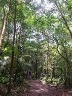 Parque Nacional Volcán Tenorio