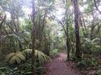 Parque Nacional Volcán Tenorio
