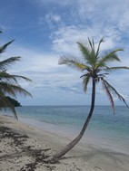 Parque Nacional Cahuita