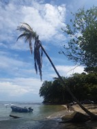Refugio Natural de Vida Silvestre Gandoca Manzanillo