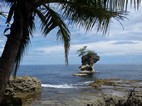 Refugio Natural de Vida Silvestre Gandoca Manzanillo