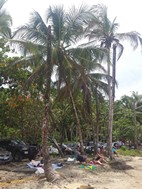 Refugio Natural de Vida Silvestre Gandoca Manzanillo