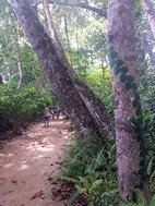 Parque Nacional Cahuita