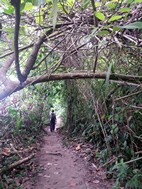 Parque Nacional Cahuita