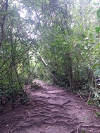 Parque Nacional Cahuita