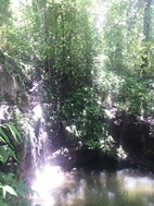 Cataratas de Llanos de Cortes